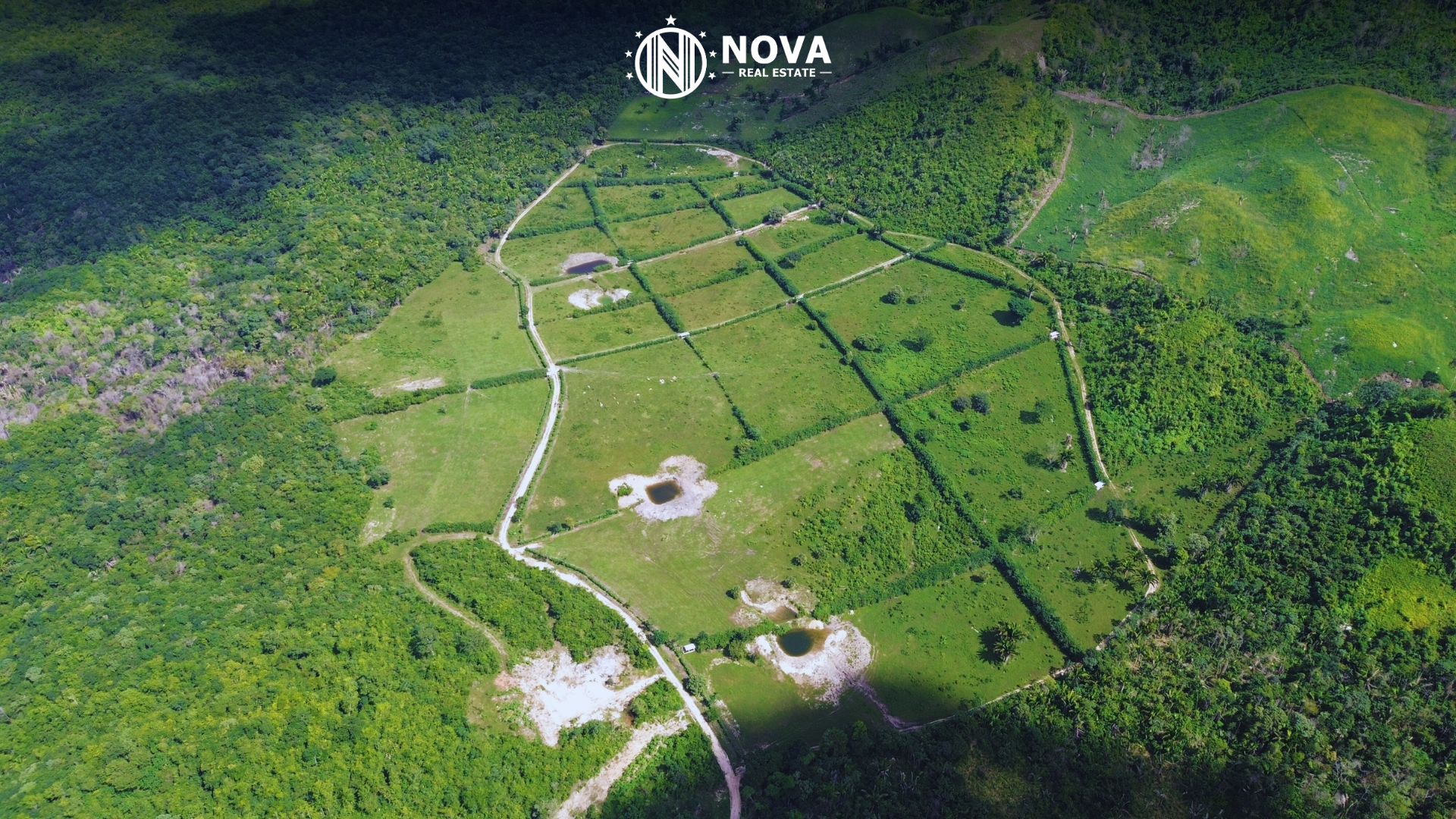 170 Acres Developed Farmland Mollejon Road, Benque Viejo, Cayo District, Belize - Photo 8