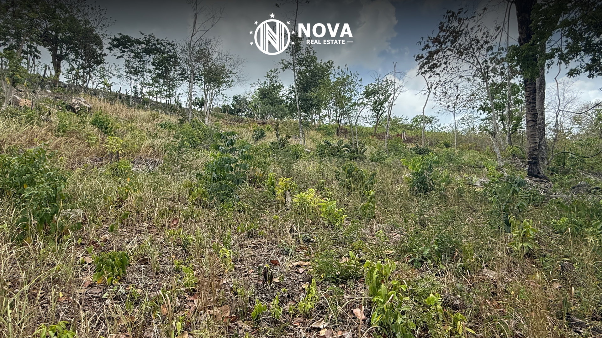 Hill View Lots in Belmopan – Nature &amp; Beauty Await  - Photo 3