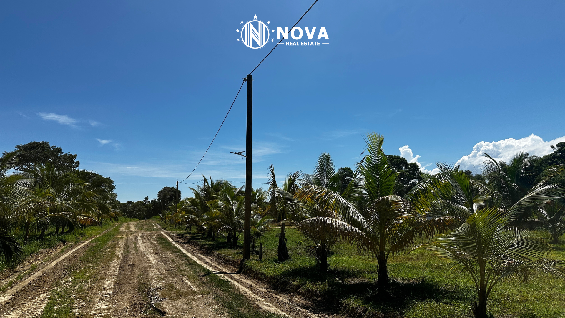 Lots in Private Estate near Dangriga Town - Photo 5