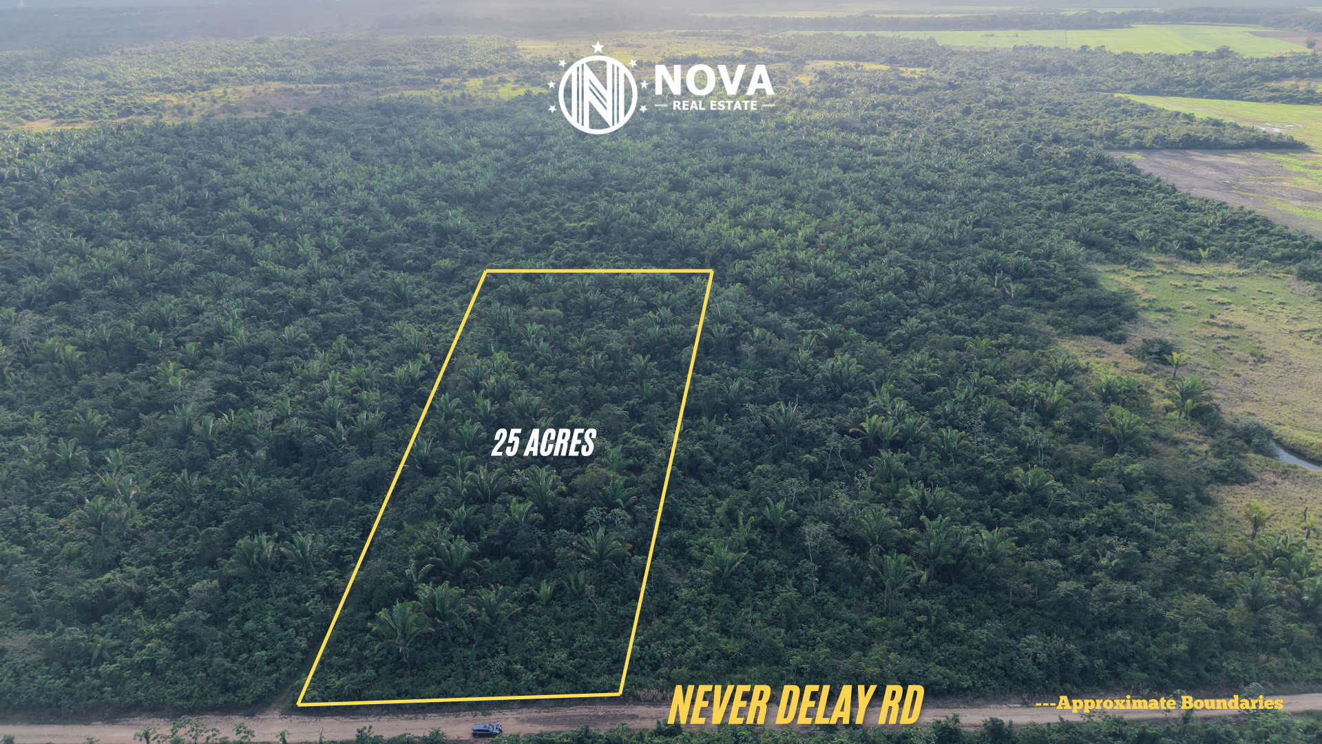 25-Acre Natural Forest Parcel — Near Belmopan - Photo 4