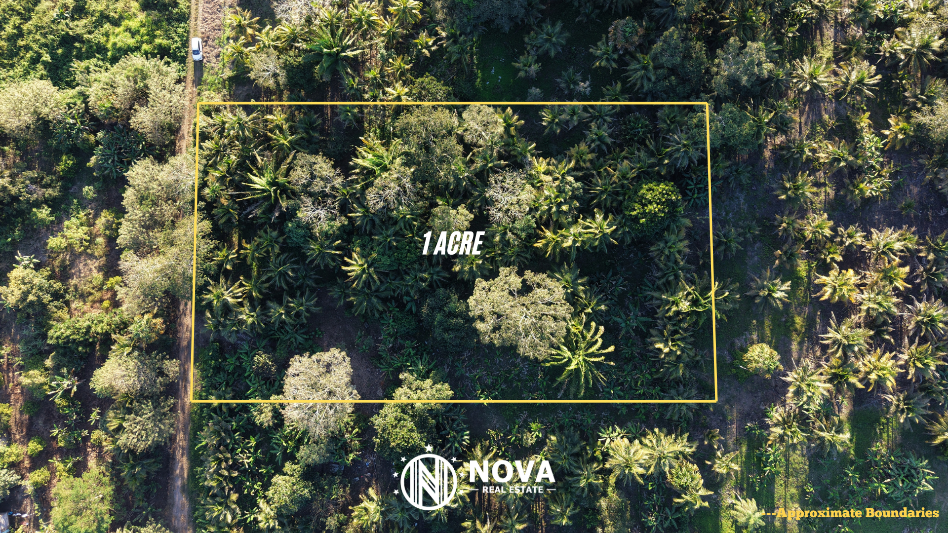 1-Acre Property in Mount Pleasant, Belmopan - Photo 3