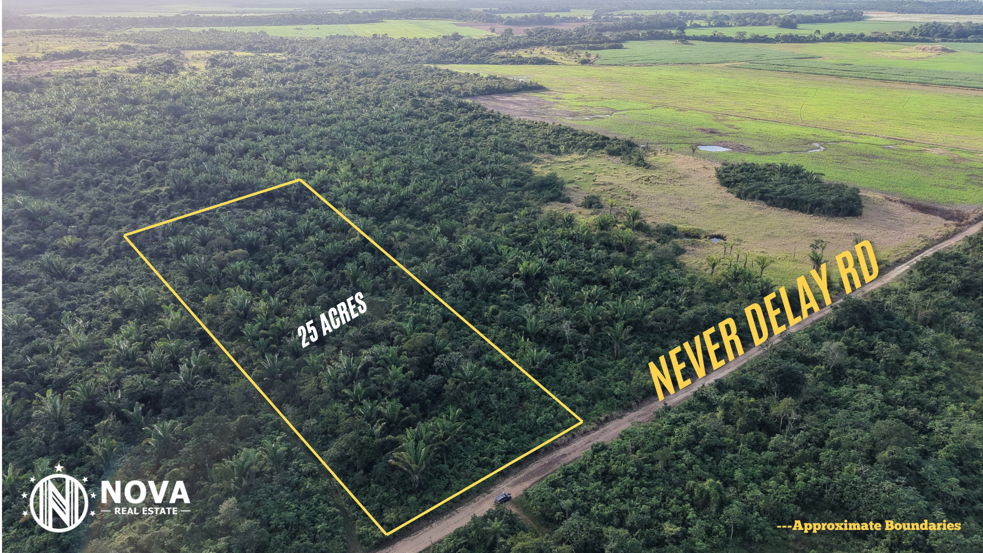 25-Acre Natural Forest Parcel — Near Belmopan - Photo 3